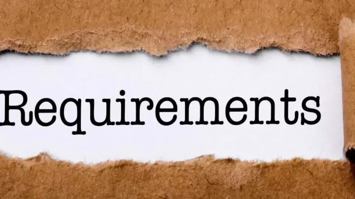 Requirements For Tier 1 Graduate Entrepreneur Seeking Visa Extension