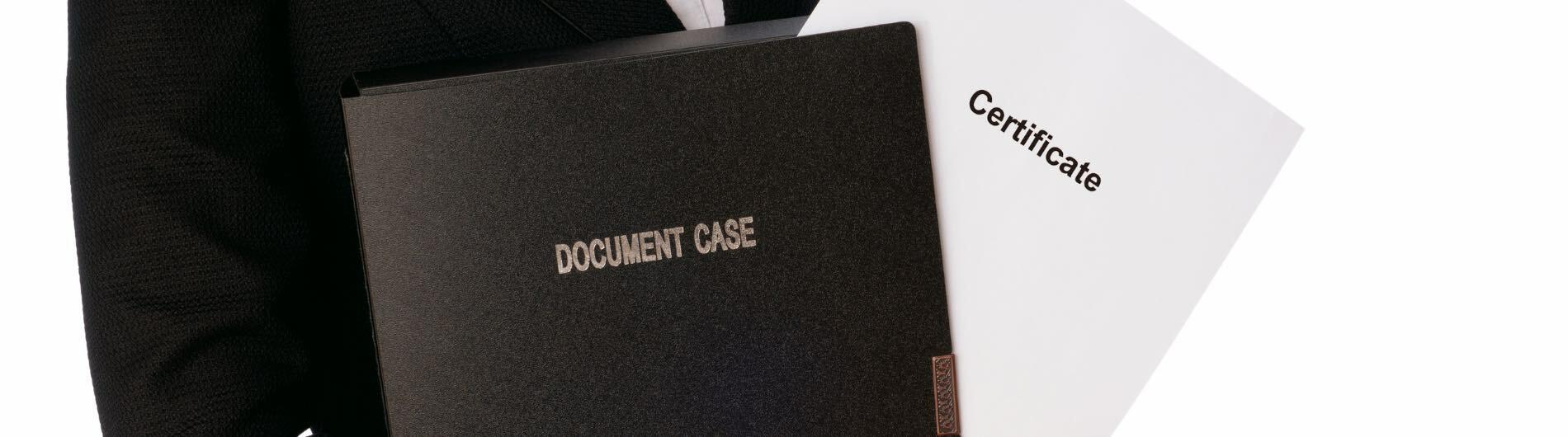 HOW TO GET A REPLACEMENT NATURALISATION CERTIFICATE UK visual data 4