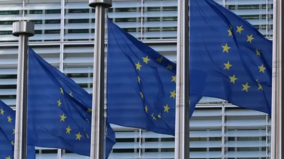 Reasons for EU Settlement Scheme Application Refusal