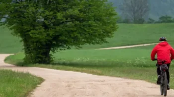 UK Sole Representative Visa to ILR Guidance