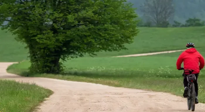 UK Sole Representative Visa to ILR Guidance